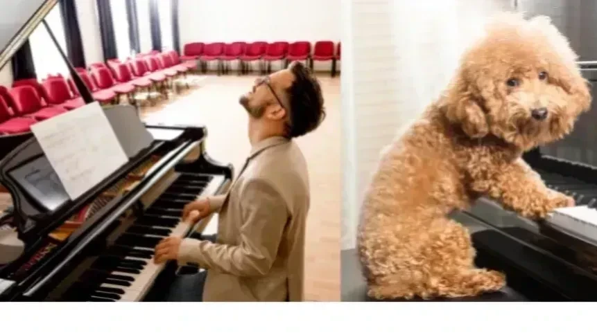 Desenvolvimento Musical: Como Evoluir Rápido e Perfeito